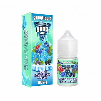 Ар Gang ICE SALT "Мятные Лесные Ягоды с Хвоей" 30-20